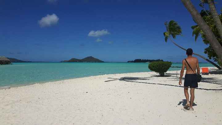 Consigli per luna di di miele! - 1