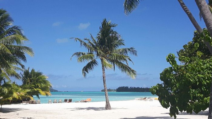 Seconda parte del viaggio!! - 1