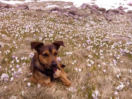 Too cute: i vostri amici animali - 2