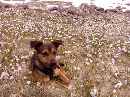 Too cute: i vostri amici animali - 2