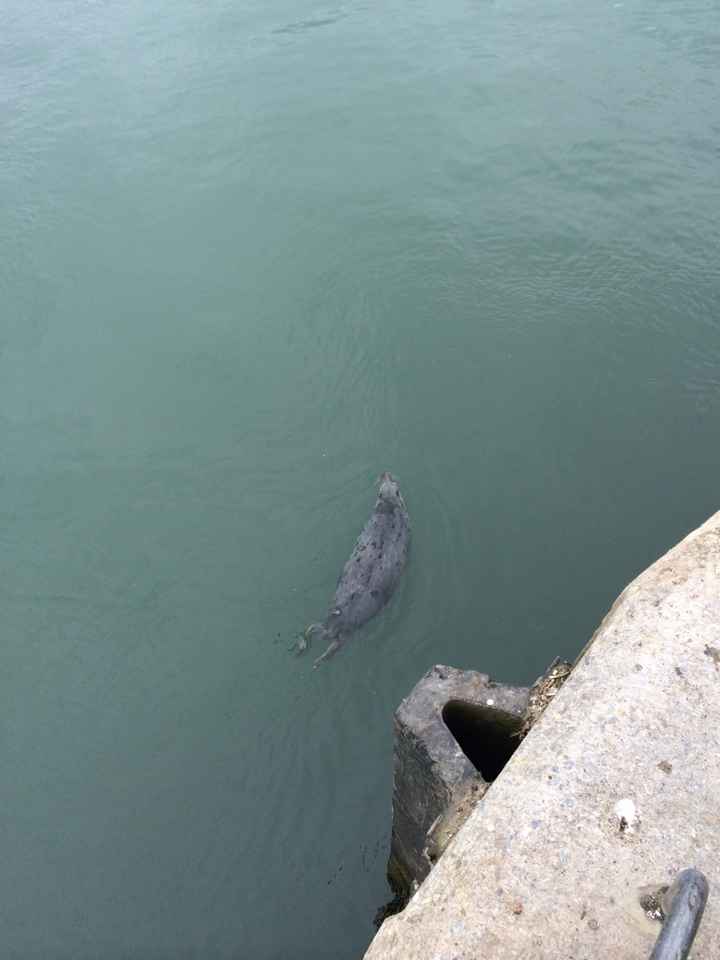 Regalo fm scelto e prenotato! - 2