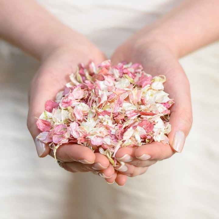 Lancio di petali di fiori anziché riso - 1