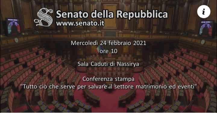 Diretta in Senato per settore matrimoni - 1