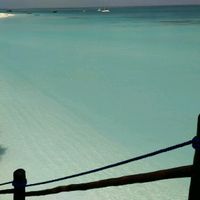 Viaggio di nozze a zanzibar! chi ci sarà?? - 1