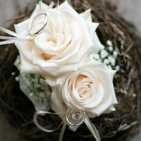 Consigli x portafedi - 1