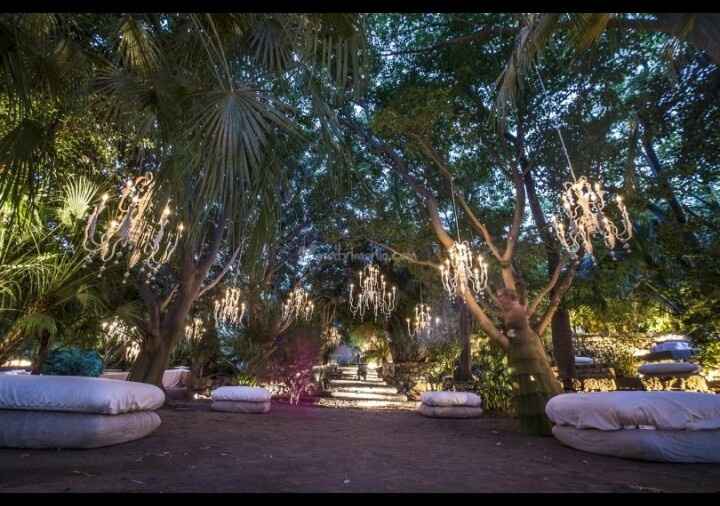 Allesstimenti nel parco... - 1