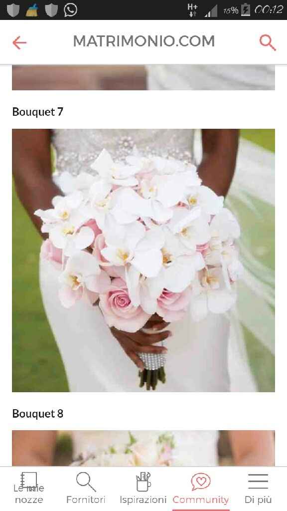 Bouquet: forse ci siamo... - 2