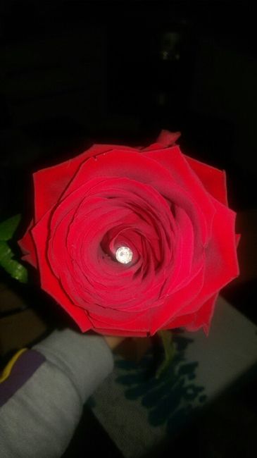 I vostri fiori di san valentino - 1