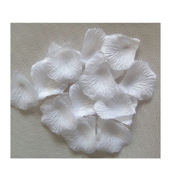 Probabili acquisti su amazon... consigli??! - 6