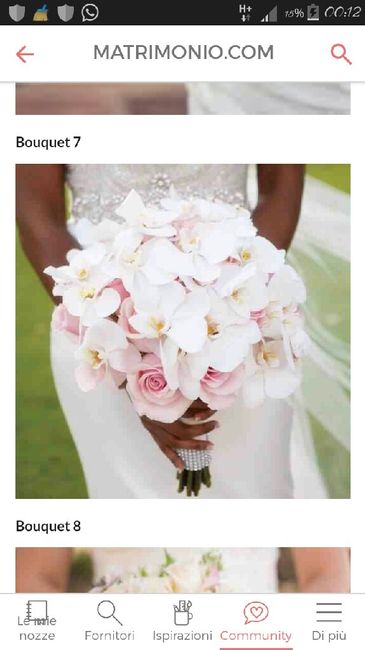 Bouquet: forse ci siamo... - 2