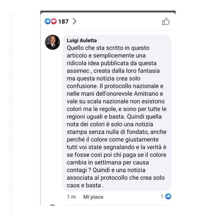 Preoccupazione per nuovo protocollo wedding - 2