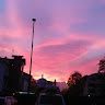 Isenia