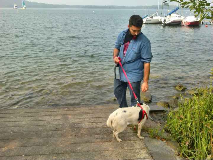 Domenica da sposini - 2