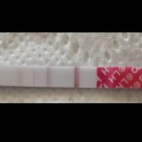 Rapporto pre-ciclo - 1