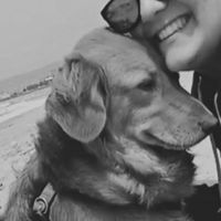 Giornata mondiale d 🐶🐕🐕 - 1