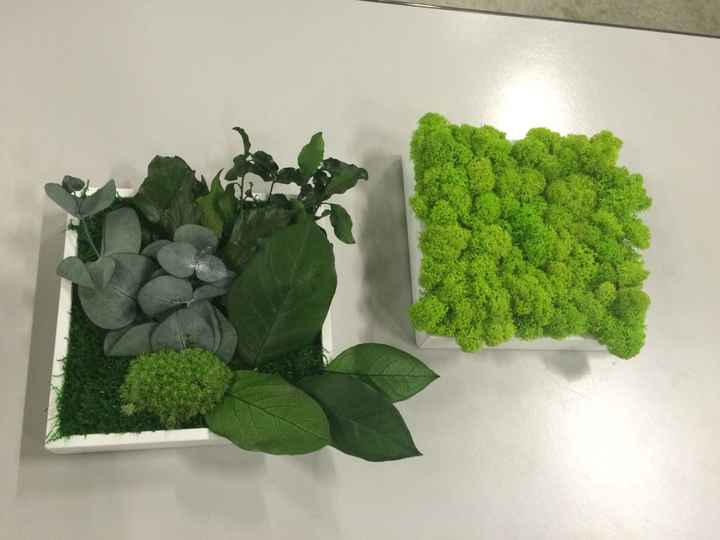 Bomboniere bonsai - 1