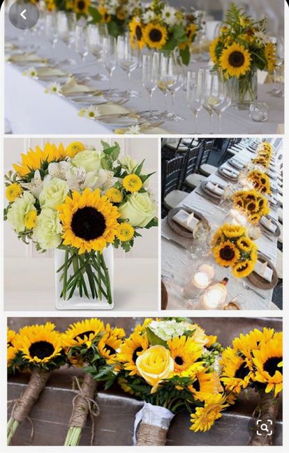 Consigli per allestimento 20