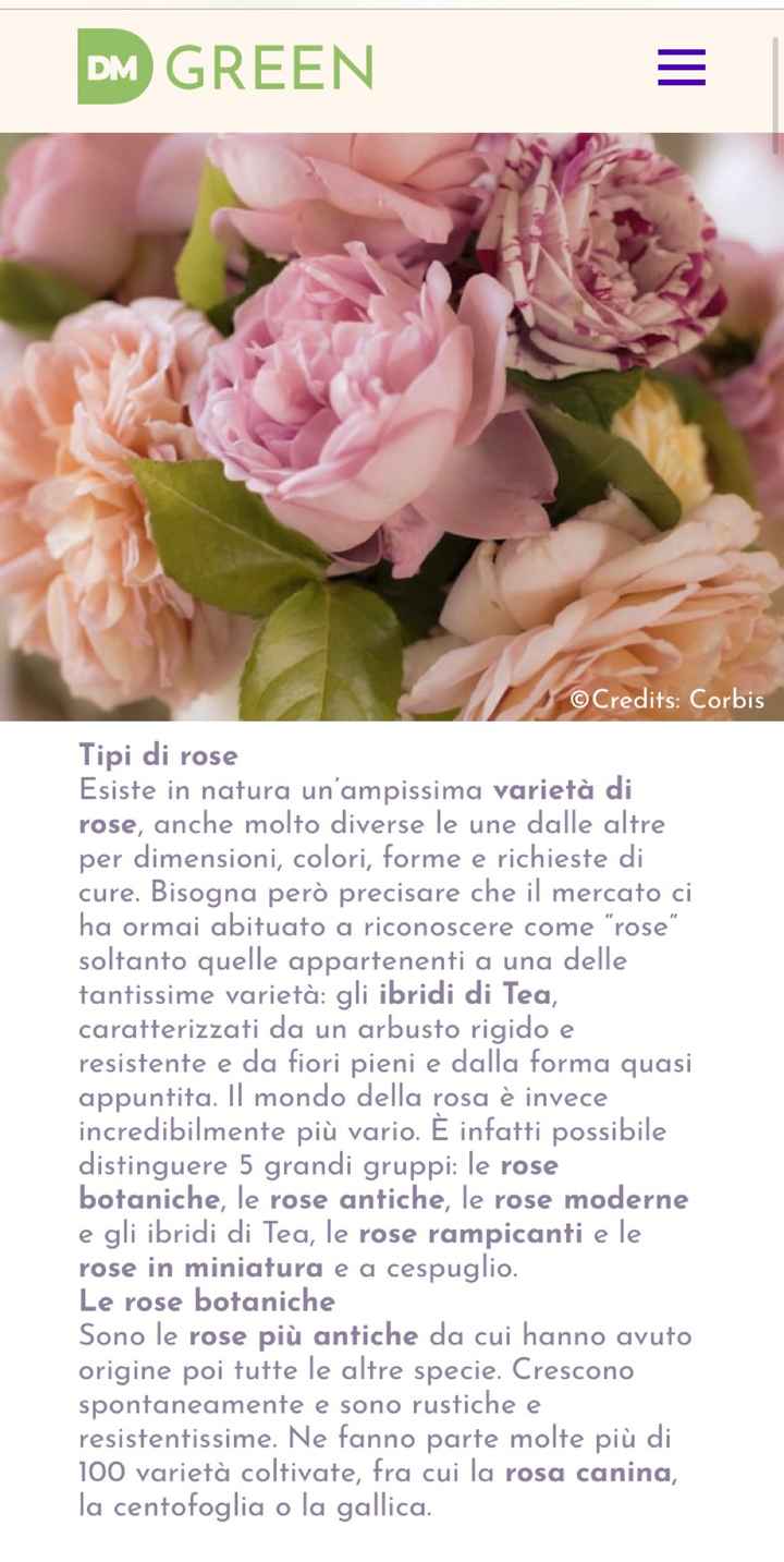 Tema rose ( ma non colori!!) - 1