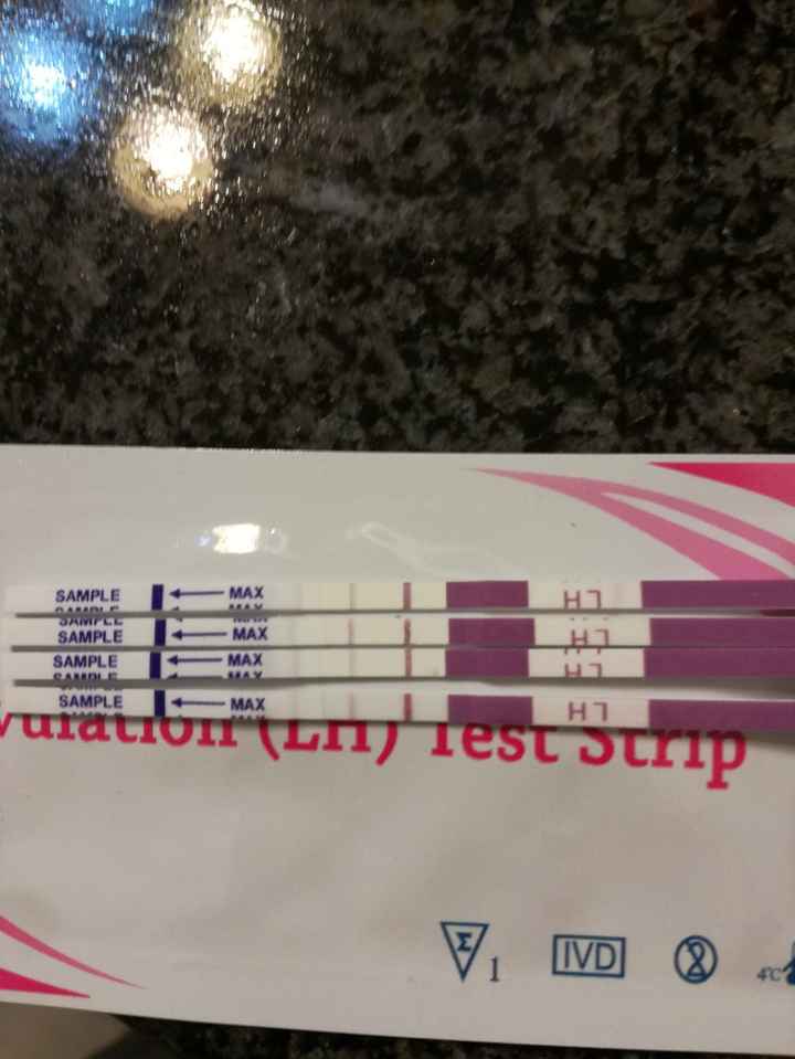 Test ovulazione - 1