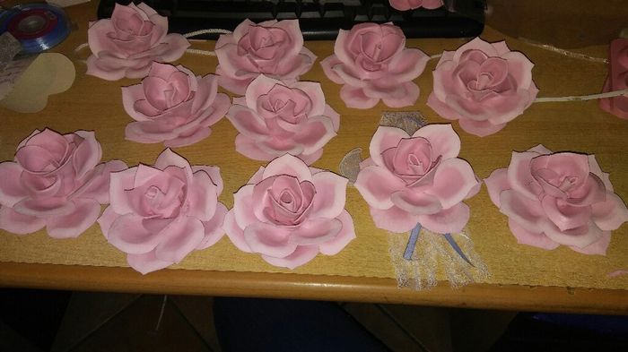 Rosa rosa 😅😅 - 1