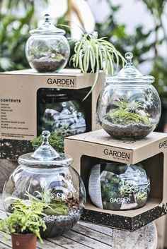 Bomboniere max 4 euro - 2