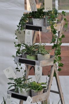 Tableau mariage fai da te .... - 10
