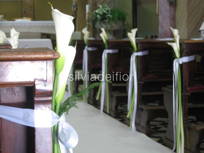 Fiori..... un dilemma.. - 7