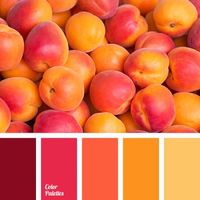 Il matrimonio in base al segno zodiacale - scorpione - 8