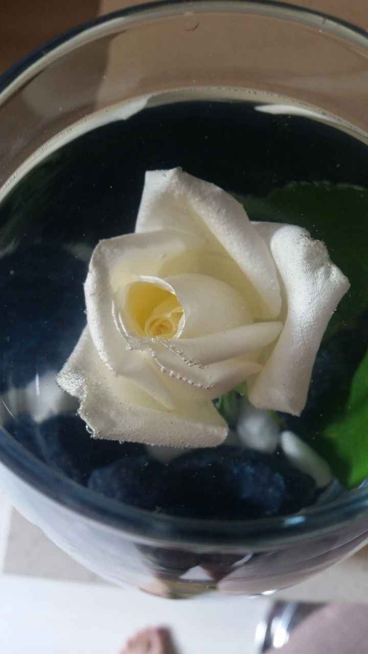 centrotavola rosa bianca5