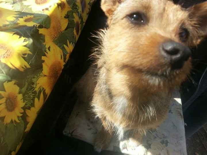 la nostra cucciolotta
