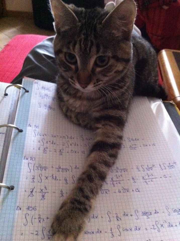 la nostra cleooo