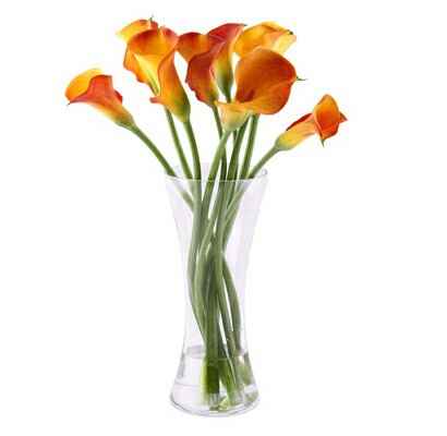 Scelta fiori!!! - 8