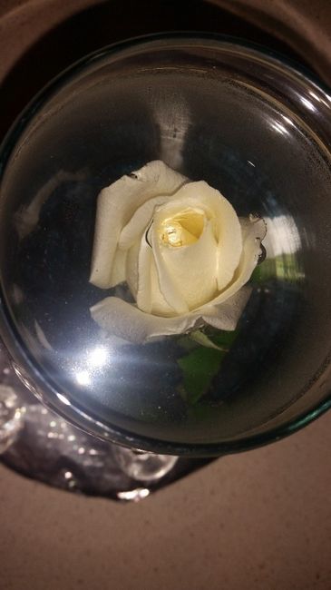 centrotavola rosa bianca2