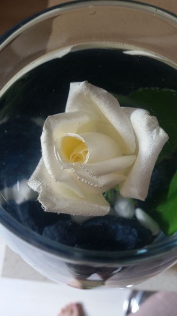 centrotavola rosa bianca5