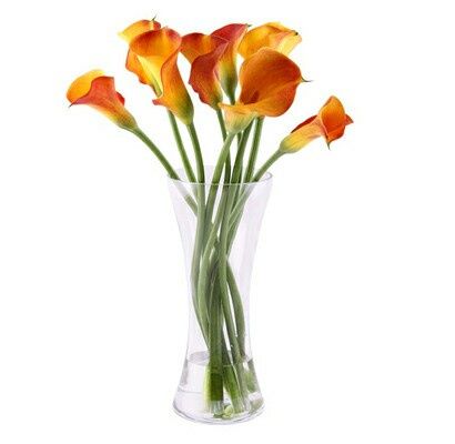 Scelta fiori!!! - 8
