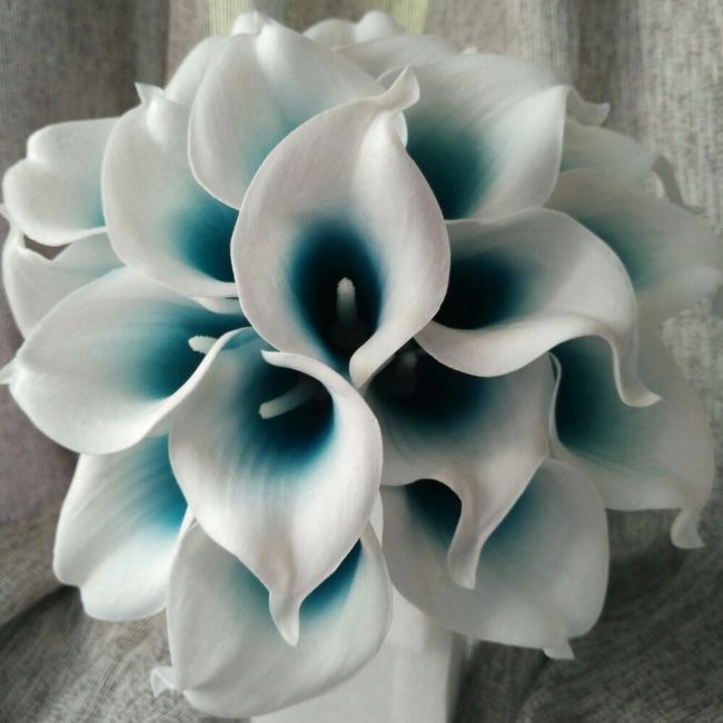 Fiori - 2