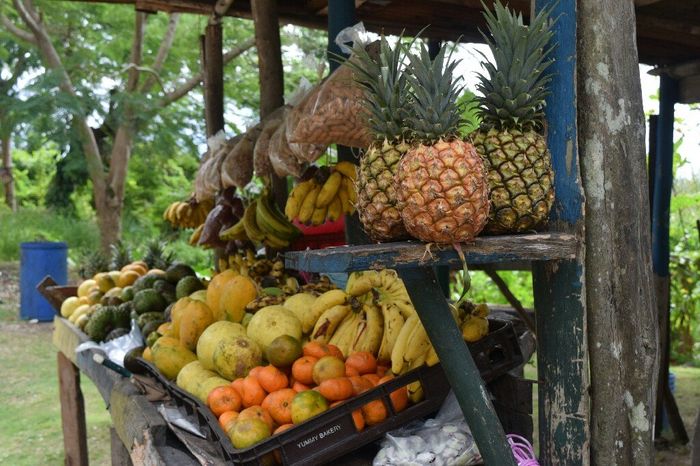  One love Jamaica! Parte 2 - 32