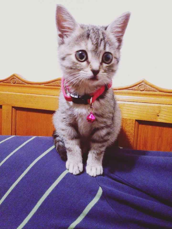 La nuova arrivata - 1