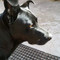 Ezia