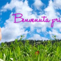 benvenuta primavera