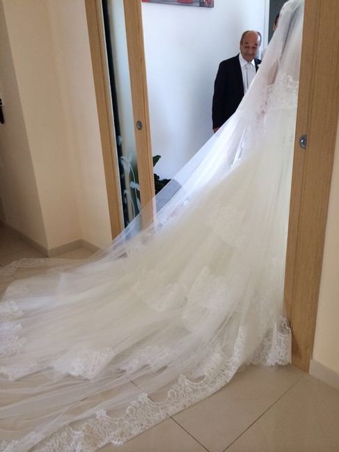 Vestiti pomposi  - 2