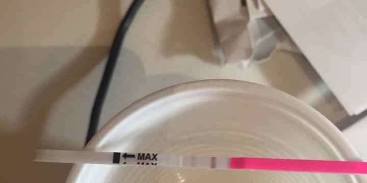 Interpretazione stick canadesi ovulazione help! - 1