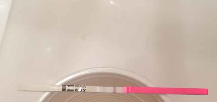 Interpretazione stick canadesi ovulazione help! - 2