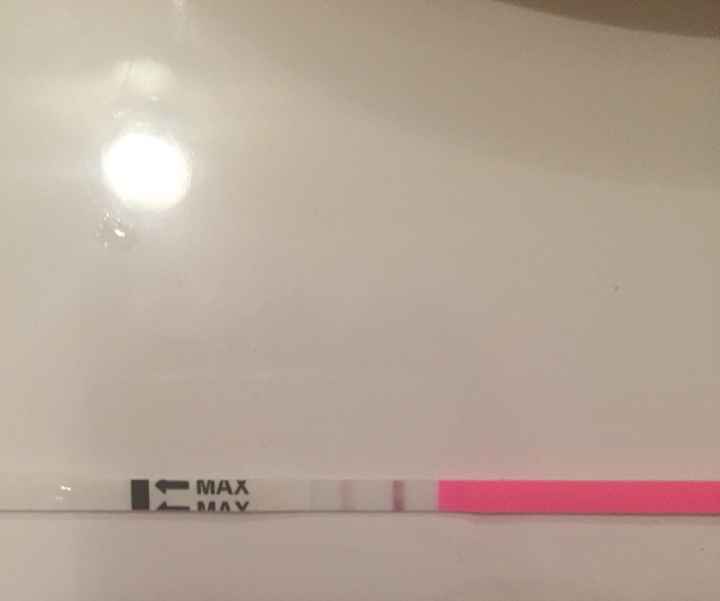 Interpretazione stick canadesi ovulazione help! - 4