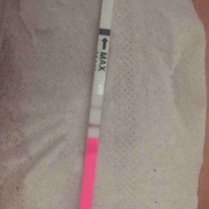 Interpretazione stick canadesi ovulazione help! - 5