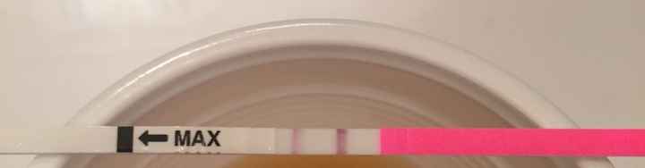 Interpretazione stick canadesi ovulazione help! - 6