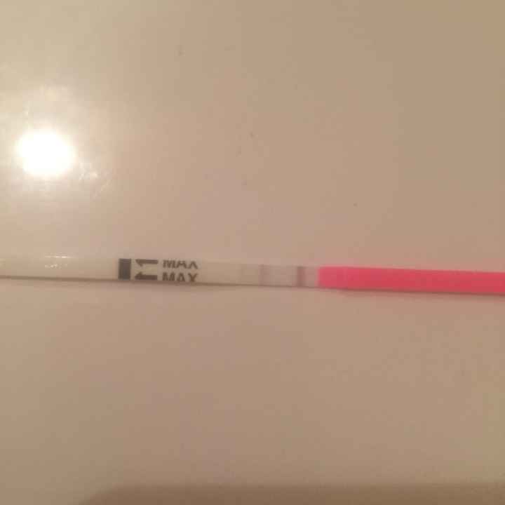 Interpretazione stick canadesi ovulazione help! - 7