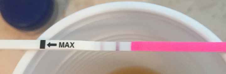 Interpretazione stick canadesi ovulazione help! - 1