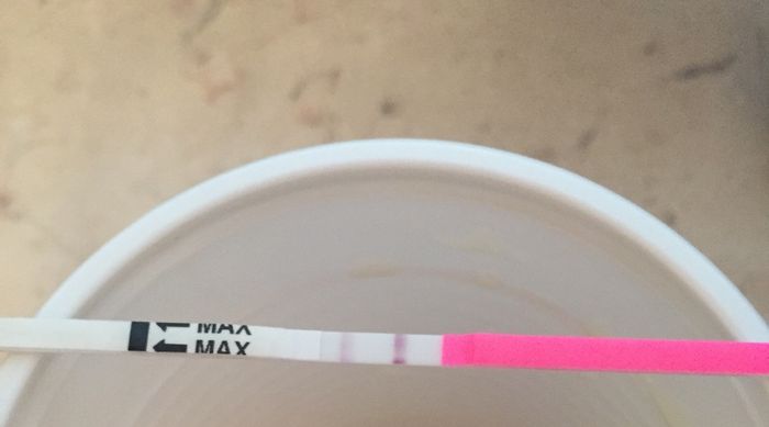 Interpretazione stick canadesi ovulazione help! - 3