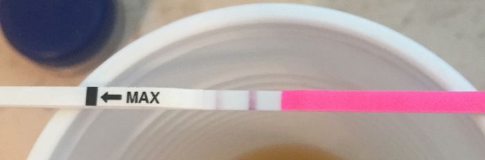 Interpretazione stick canadesi ovulazione help! - 1